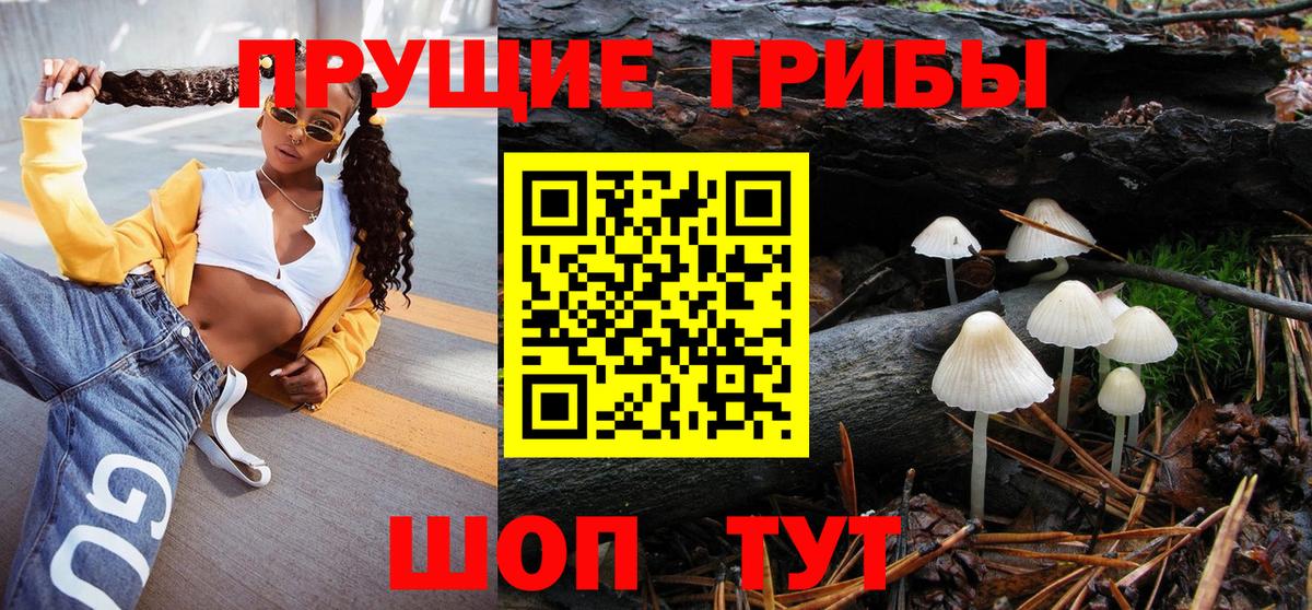 Псилоцибиновые грибы MAGIC MUSHROOMS  Вход с VPN  Дербент 